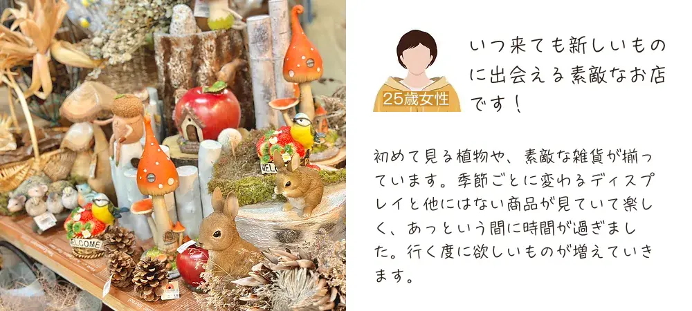 いつ来ても新しいものに出会える素敵なお店です！
