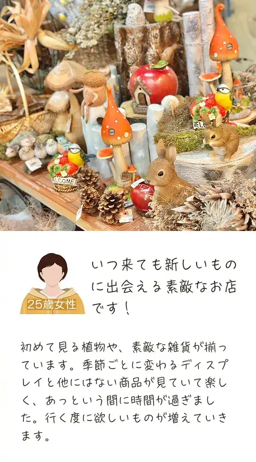 いつ来ても新しいものに出会える素敵なお店です！