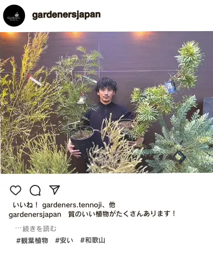 質のいい植物がたくさんあります！