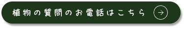 植物の質問のお電話はこちら