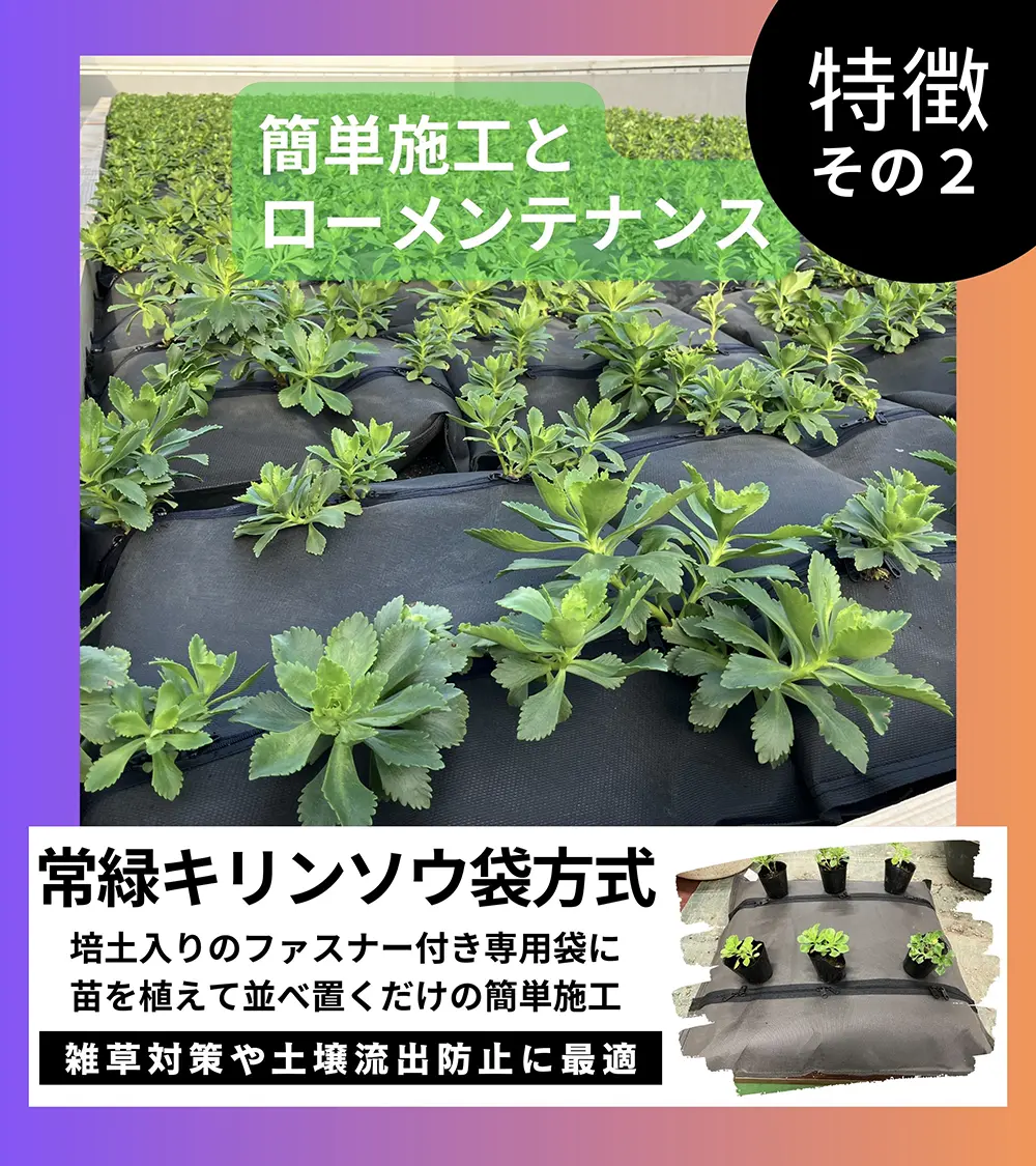 簡単施工とローメンテナンス